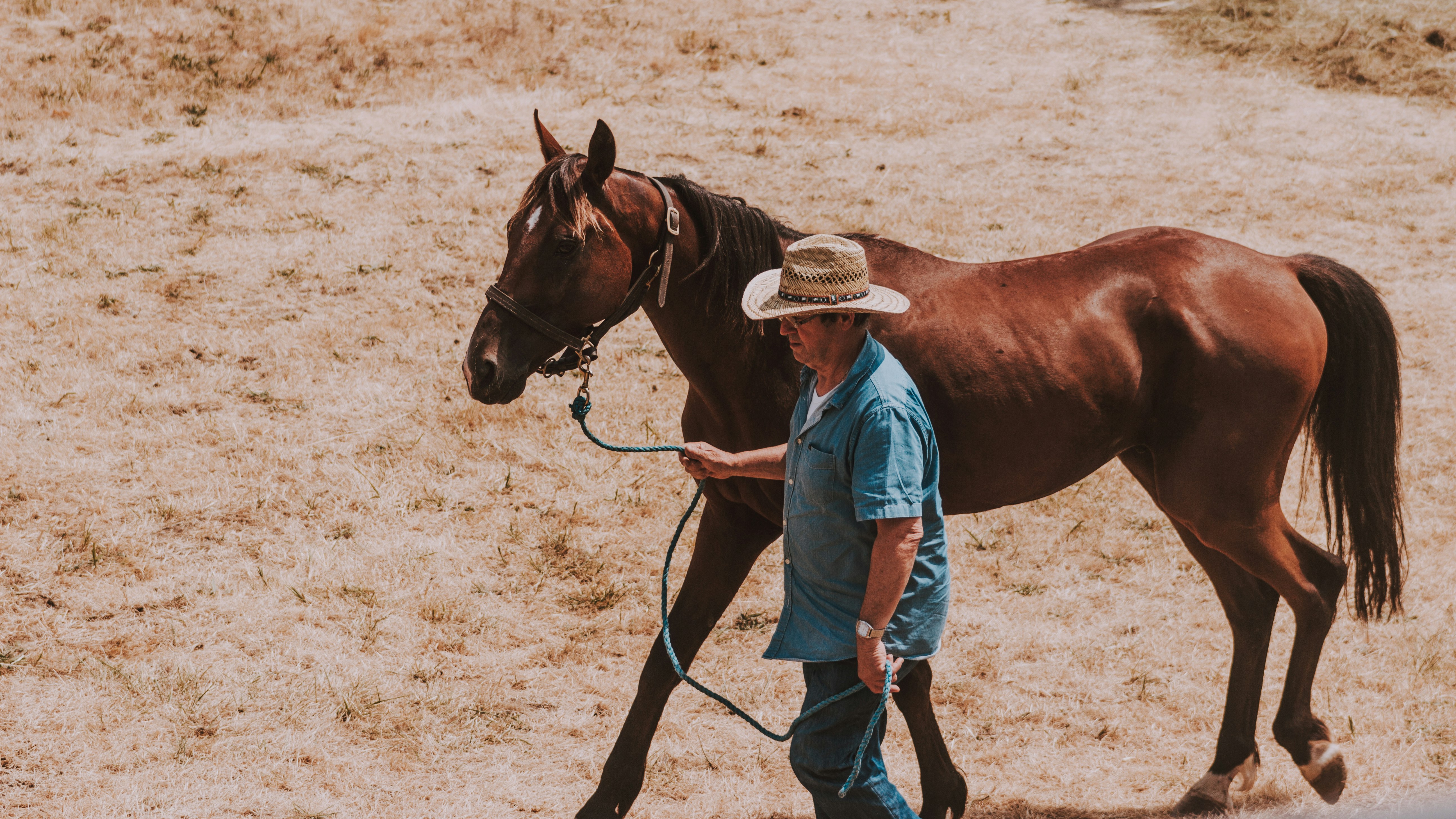 man walking with horse